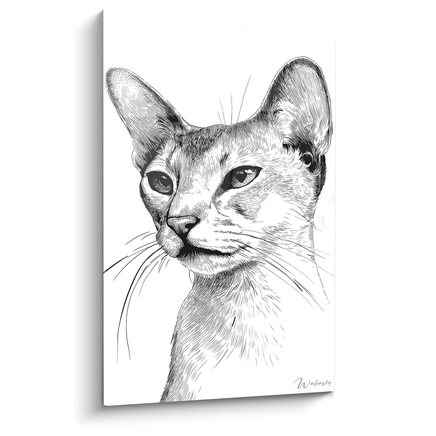 Tableau Chat Abyssin Portrait Noir et Blanc - Elegance Feline - Edition chat Abyssin