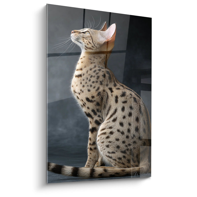 Tableau Chat Savannah Regardant vers le Haut - Contemplation Féline - Edition chat Savannah