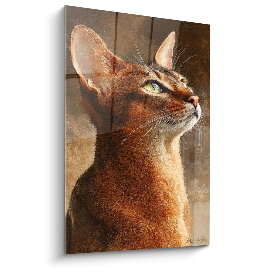 Tableau Chat Abyssin Portrait - Regard Contemplatif - Edition chat Abyssin