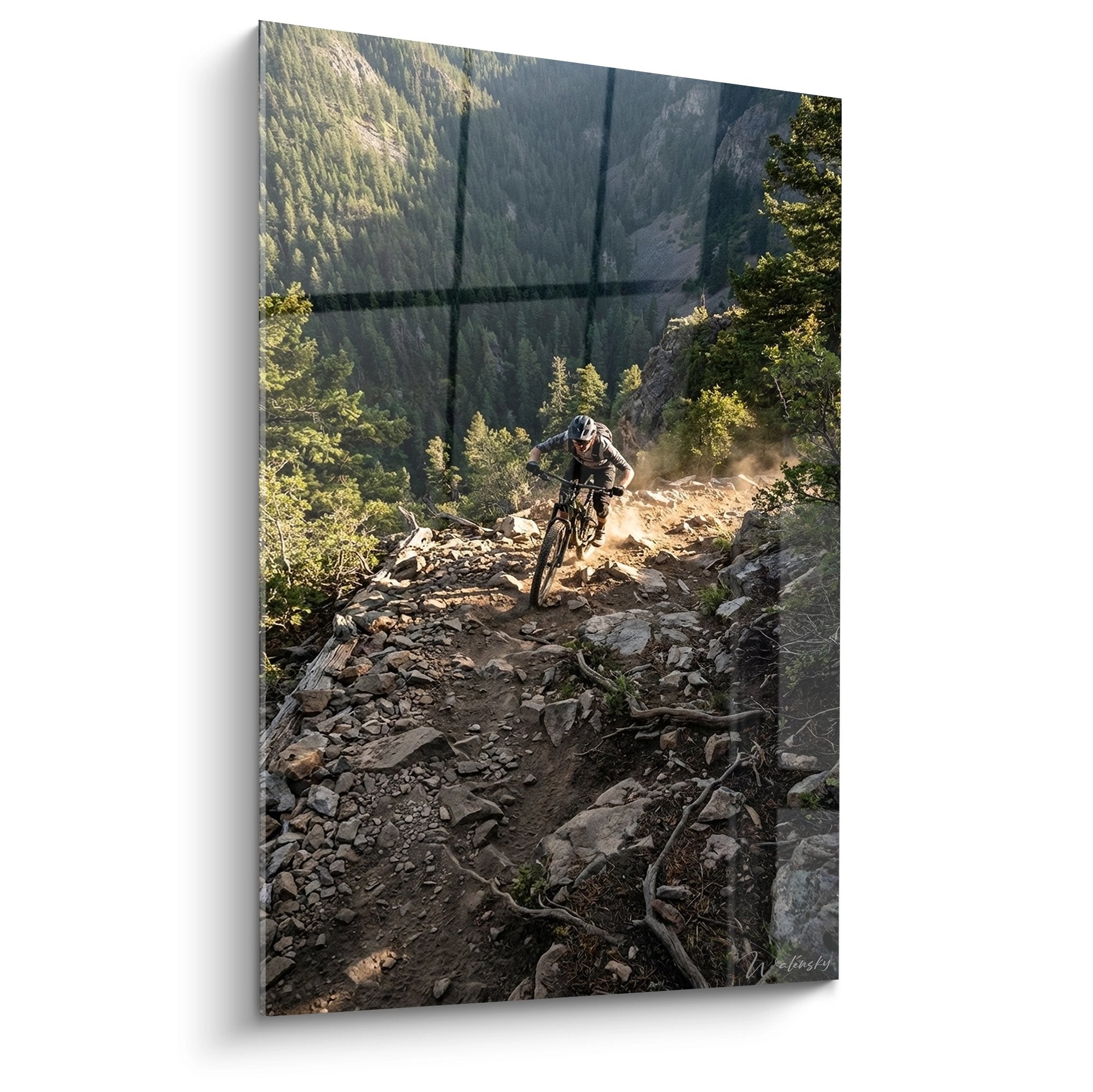 Tableau VTT freerider en descente sur sentier rocailleux montagnard avec nuage de poussière et paysage alpin