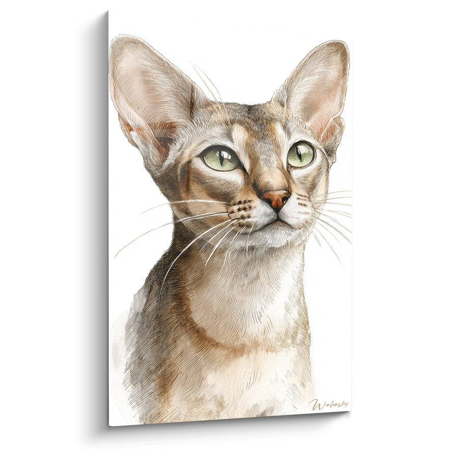 Tableau Portrait Chat Singapura - Regard Émeraude - Edition chat Singapura