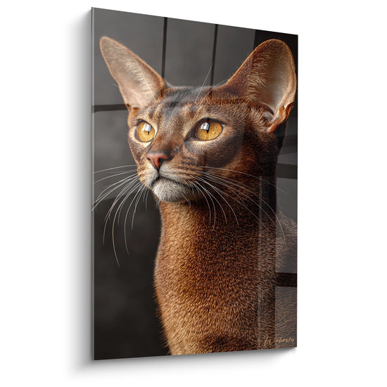 Ritratto artistico di un gatto Abissino con occhi dorati su quadro murale decorativo