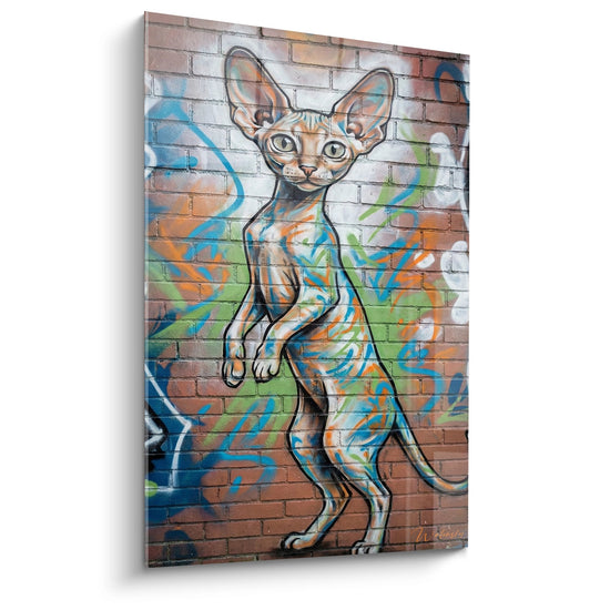 Schilderij Maine Coon Graffiti - Kattenkunst Urban Art - Editie Maine Coon