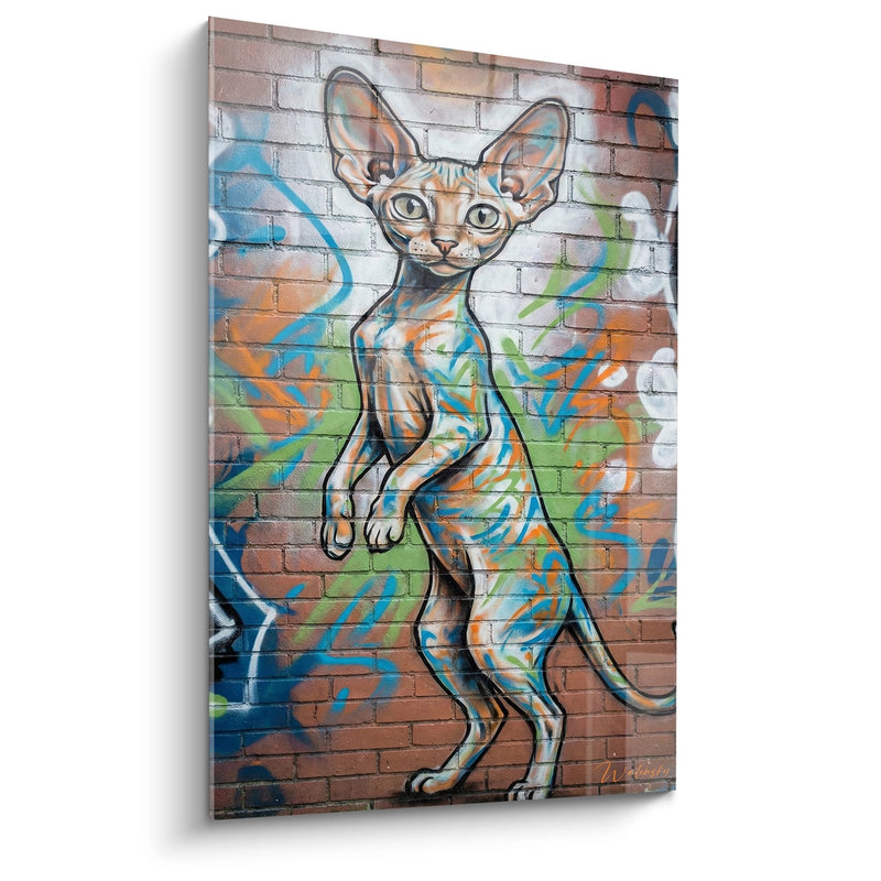 Tabella Chat Cornish Rex Graffiti - Arte Urbana Felina - Edizione gatto Cornish Rex