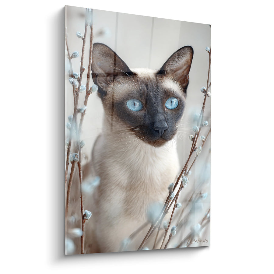 Tableau Chat Balinais aux Yeux Bleus - Regard Perçant - Edition chat Balinais