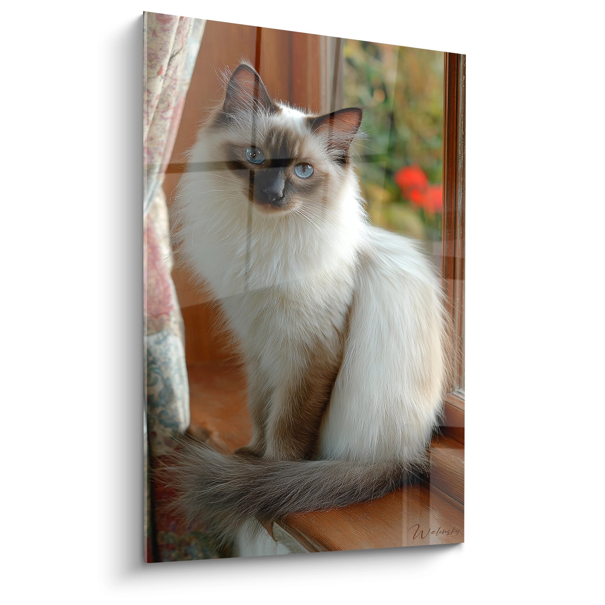 Portrait artistique d'un chat Balinais aux yeux bleus assis près d'une fenêtre dans un intérieur chaleureux