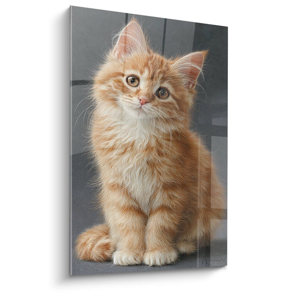 Obraz Kotek American Bobtail Rudobrunatny - Niewinny Spojrzenie - Edycja American Bobtail