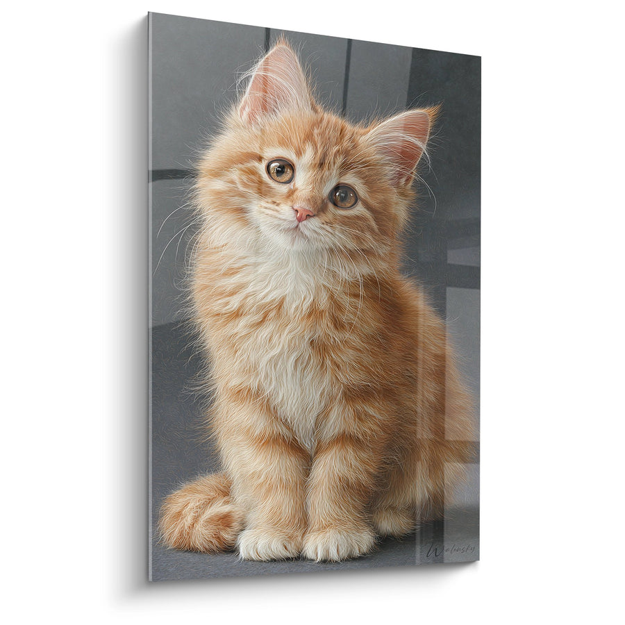 Tableau Chaton American Bobtail Roux - Regard Innocent - Edition chat American Bobtail