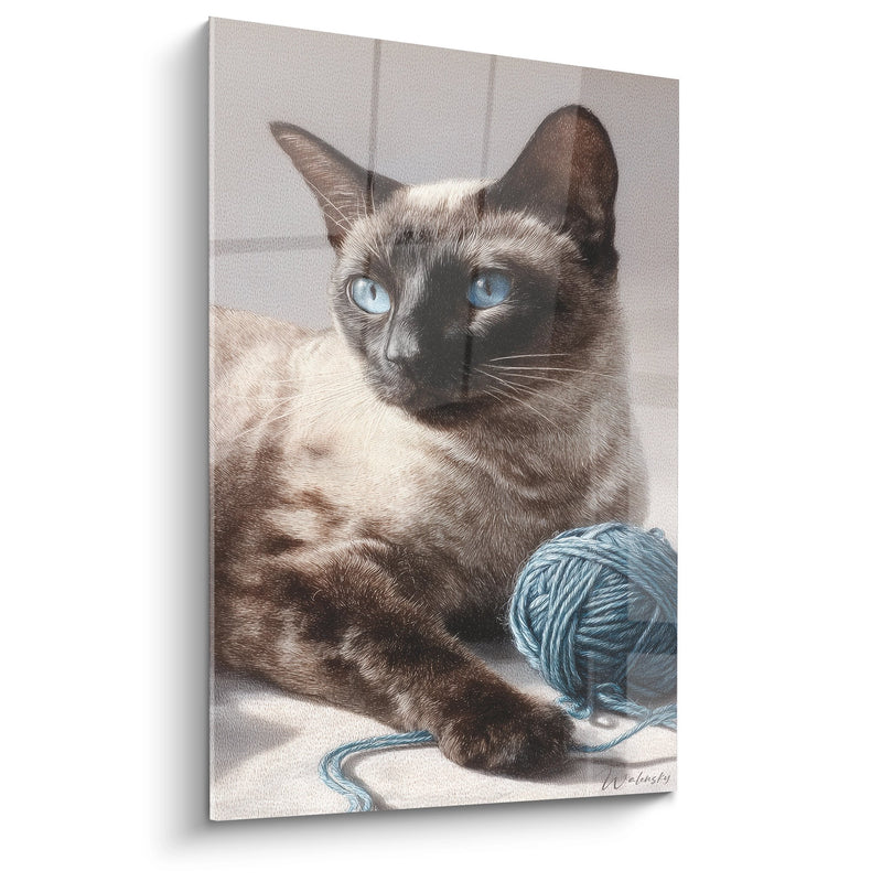 Blauwogige Tonkinees Kat Schilderij - Bal van Garen Vriend - Tonkinese Kat Editie