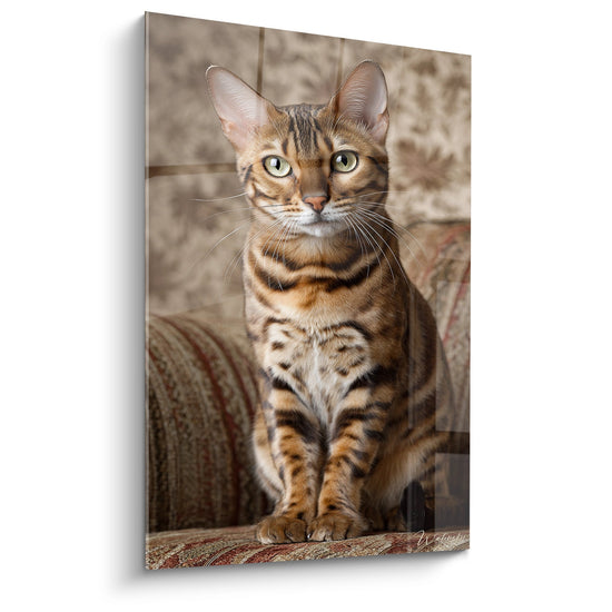 Tableau mural chat Bengal elegant aux yeux verts assis sur fauteuil oriental, motifs dores et tachetes