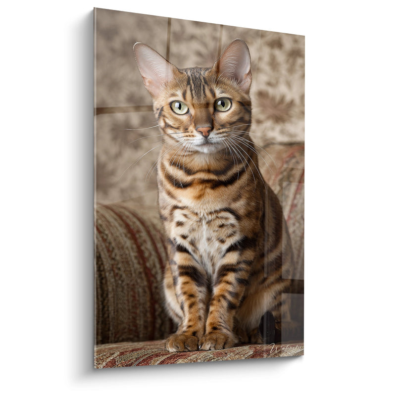 Tableau Chat Bengal Elegant - Grace Feline Captivante - Edition chat Bengal