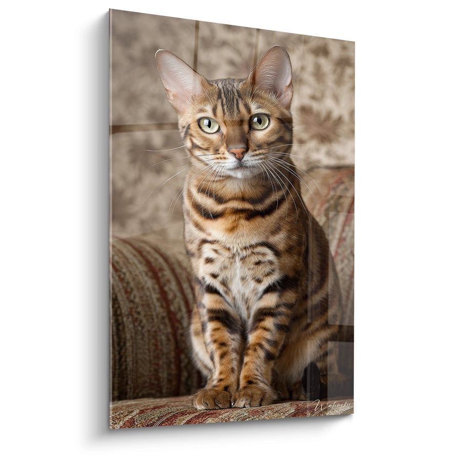 Tableau Chat Bengal Elegant - Grace Feline Captivante - Edition chat Bengal