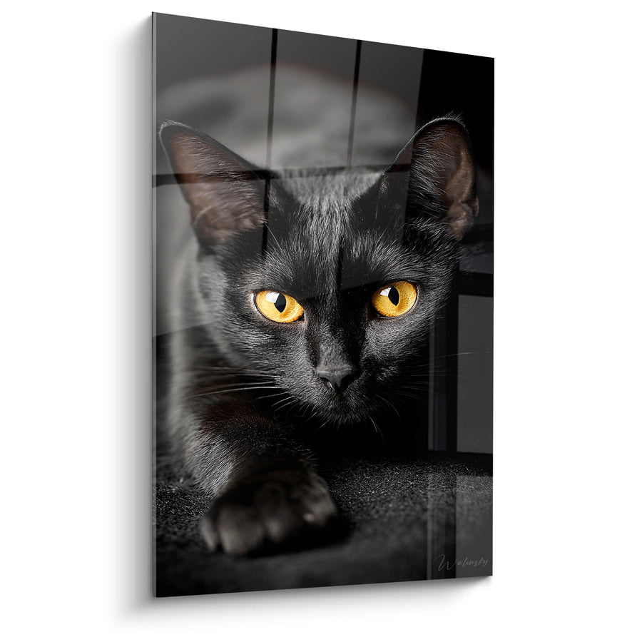 Tableau Chat Noir aux Yeux Dorés - Regard Mystérieux - Edition chat Bombay