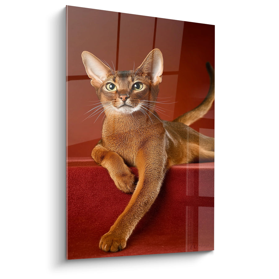 Tableau Chat Abyssin sur Escalier Rouge - Élégance Féline - Edition chat Abyssin