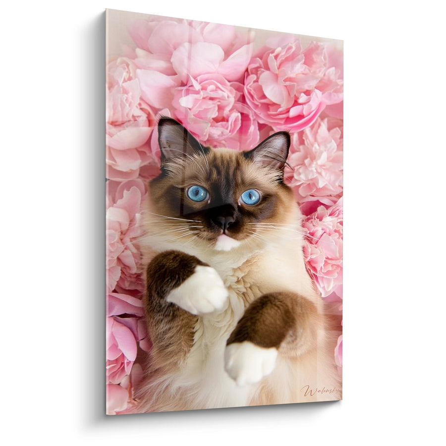 Tableau Chat Birman aux Yeux Bleus - Tendresse Florale - Edition chat Birman