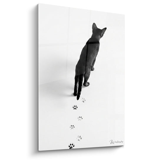 Tableau Chat Noir aux Empreintes - Chemin de Pattes - Edition chat Chausie