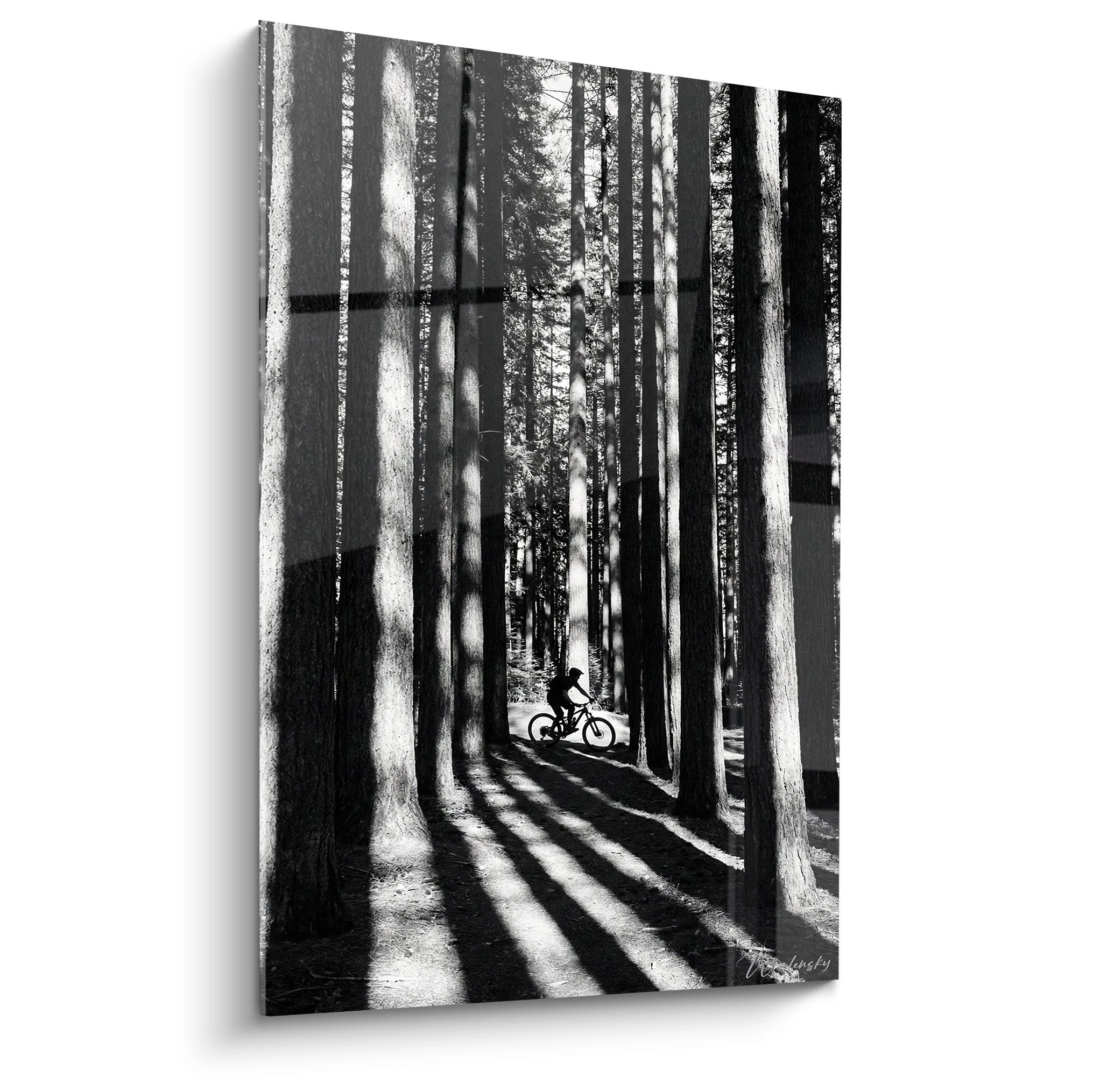 Tableau noir et blanc VTT en foret avec cycliste entre les arbres et jeux d'ombres et lumiere naturelle