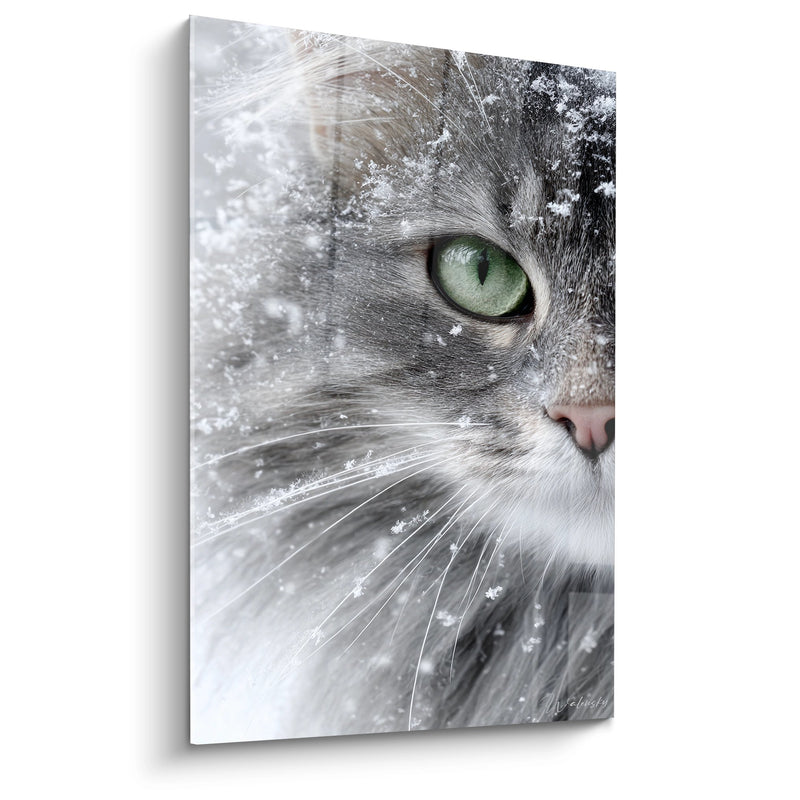 Tableau Chat aux flocons de neige - Regard émeraude hivernal - Edition chat American Bobtail