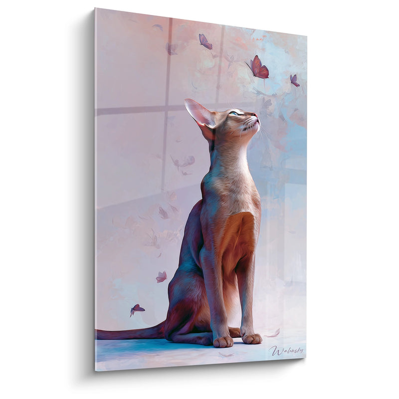 Tabella Chat Abissino e Farfalle - Contemplazione Felina - Edizione chat Abissino