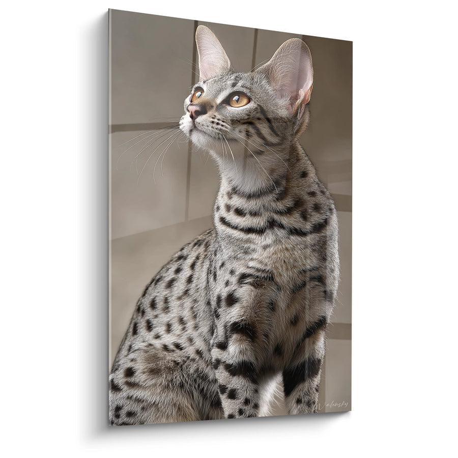 Tableau Chat Savannah Portrait - Regard Doré - Edition chat Savannah