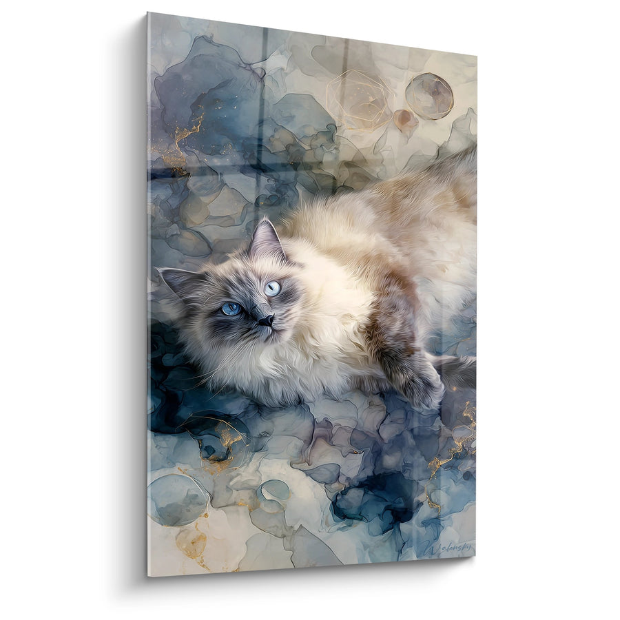 Tableau Chat Ragdoll Aquarelle - Nuages Dorés - Edition chat Ragdoll