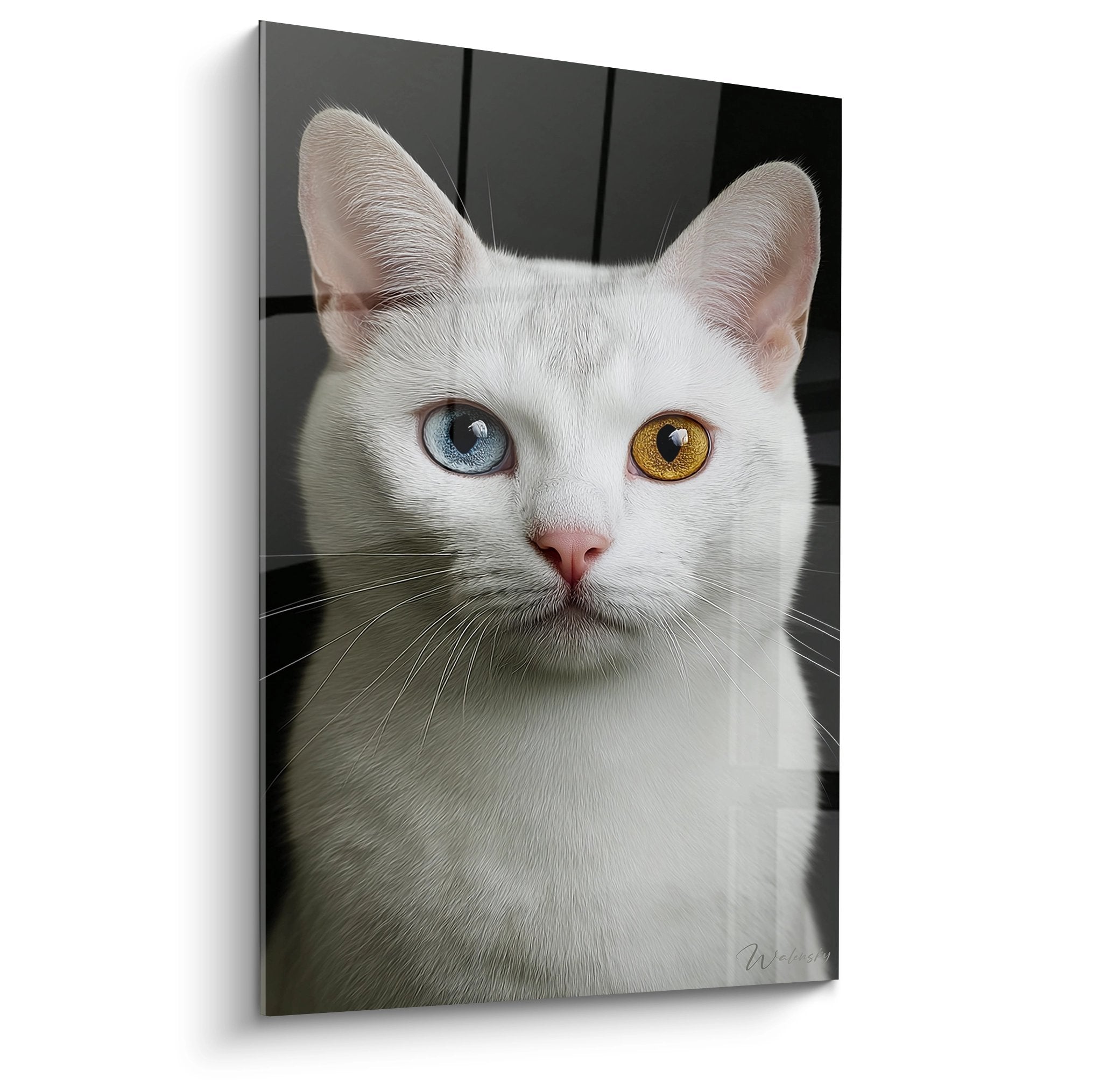 Tableau portrait chat blanc aux yeux vairons bleu et doré, art mural félin réaliste sur toile