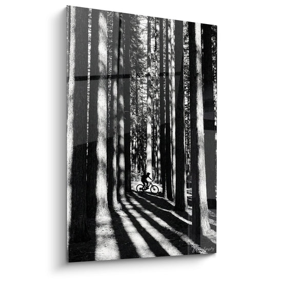 Schwarzweißes Gemälde, das einen Mountainbiker in einem Wald mit spektakulären Licht- und Schatteneffekten zeigt