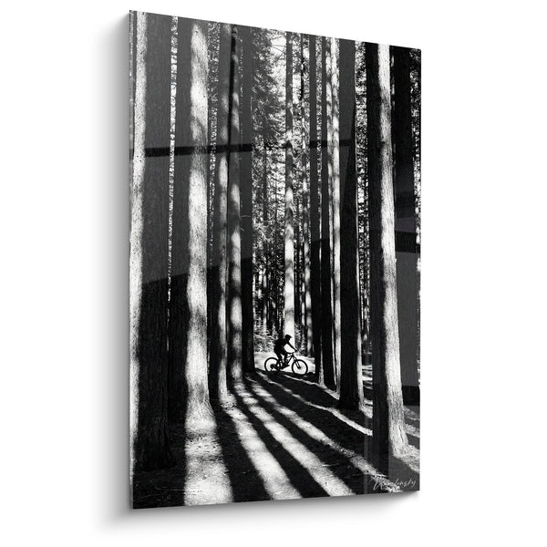 Cuadro BTT en Bosque - Sombras y Luz - Edición BTT