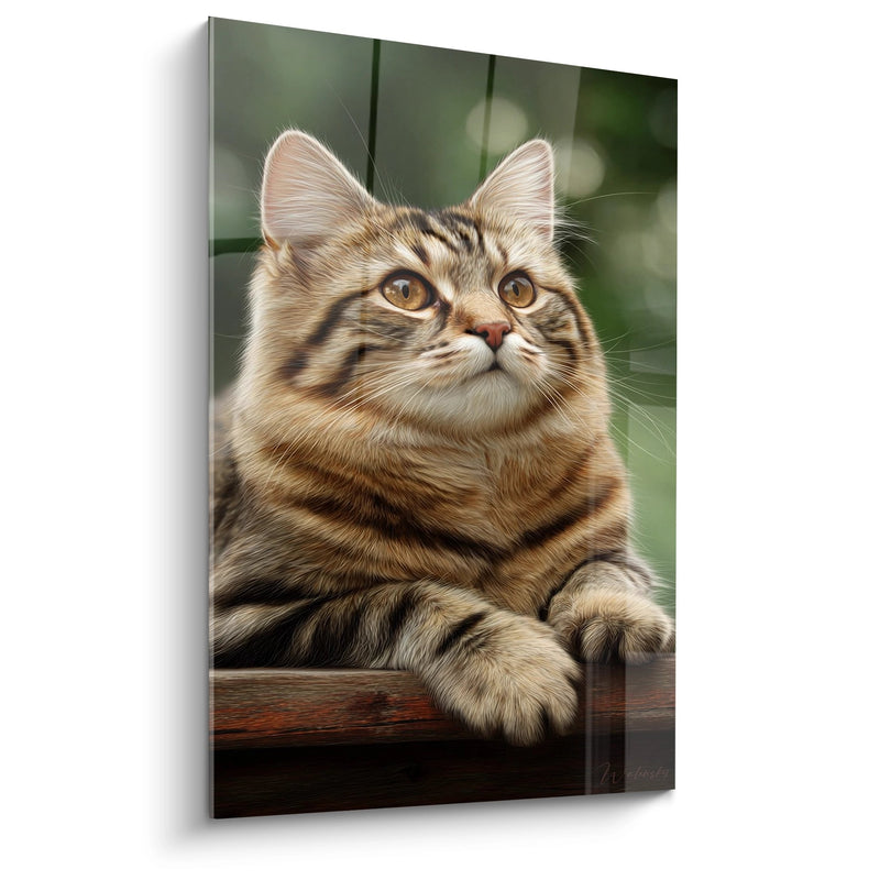 Tableau Chat American Bobtail Majestueux - Félin aux Yeux Ambrés - Edition chat American Bobtail
