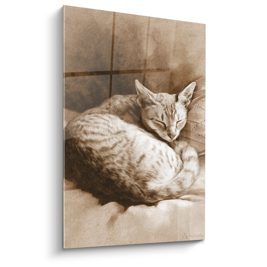 Tableau Chat Singapura Endormi - Sérénité Féline - Edition chat Singapura