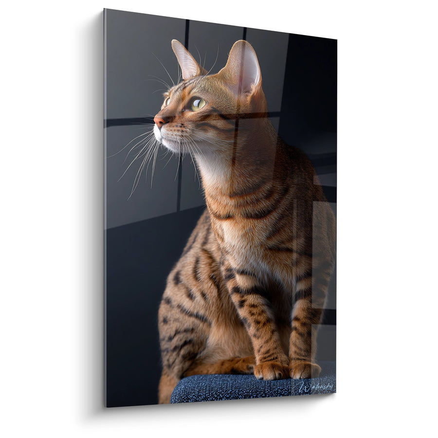 Tableau Chat Toyger Assis - Portrait Majestueux - Edition chat Toyger