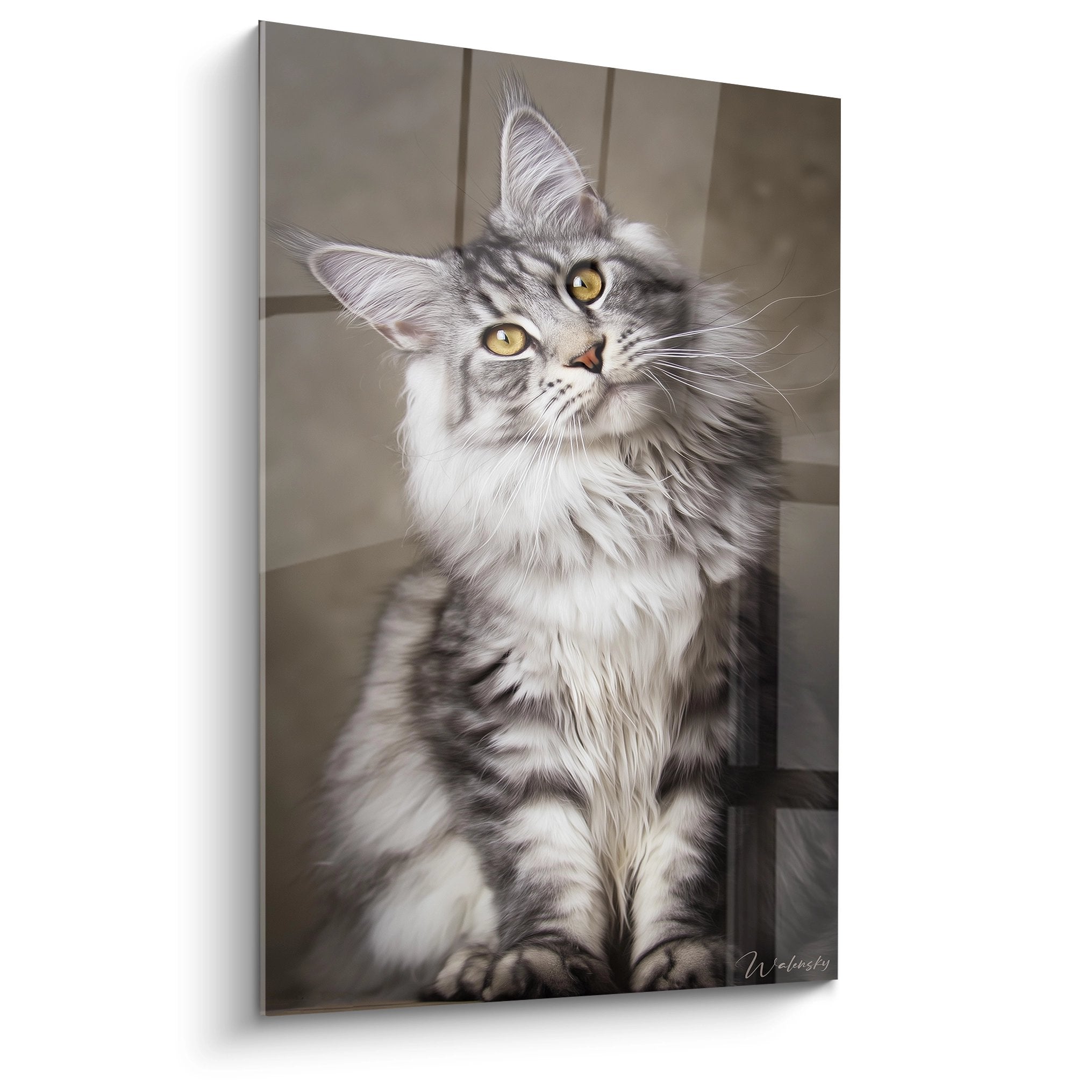 Tableau mural Maine Coon assis aux yeux dores sur fond neutre, portrait felin artistique pour decoration
