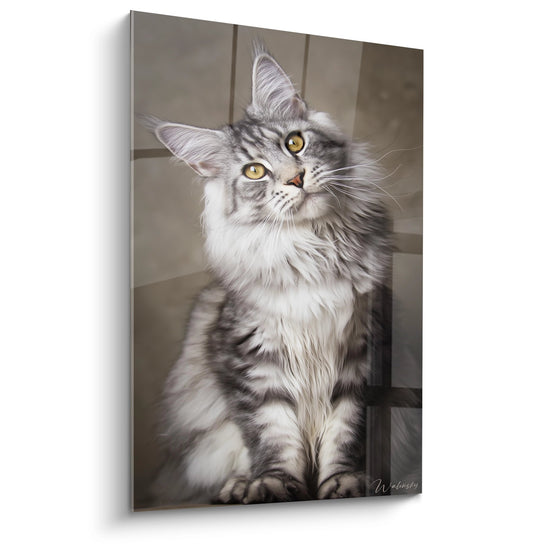 Kattenbeeld Maine Coon Zittend - Gouden Blik - Editie Maine Coon