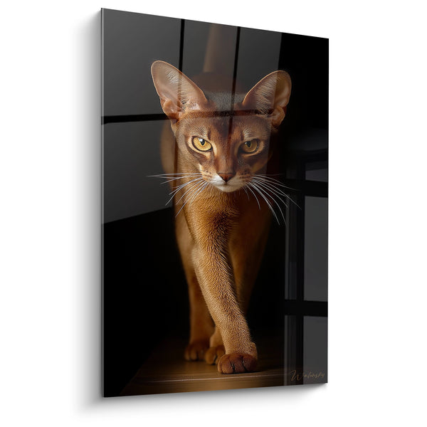 Schilderij Abessijnse kat Portret - Mysterieuze Gouden Blik - Abessijnse kat Editie