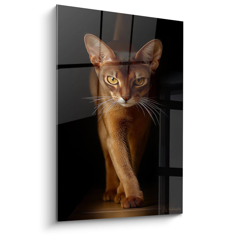 Abyssinian Cat Portrait Painting - Mysterious Golden Gaze - Abyssinian Cat Edition