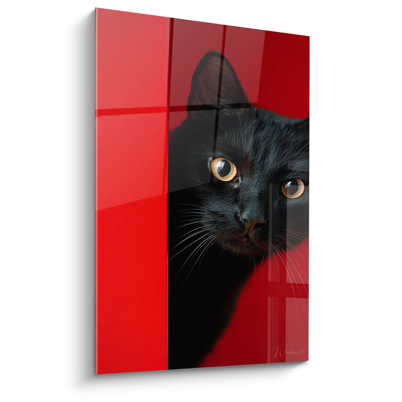 Schwarze Katze mit goldenen Augen Gemälde - Intensiver Blick - Bombay-Katzen Edition