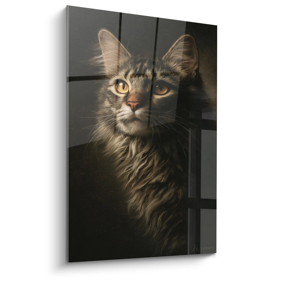 Tableau Chat American Bobtail Portrait - Regard Doré - Edition chat American Bobtail