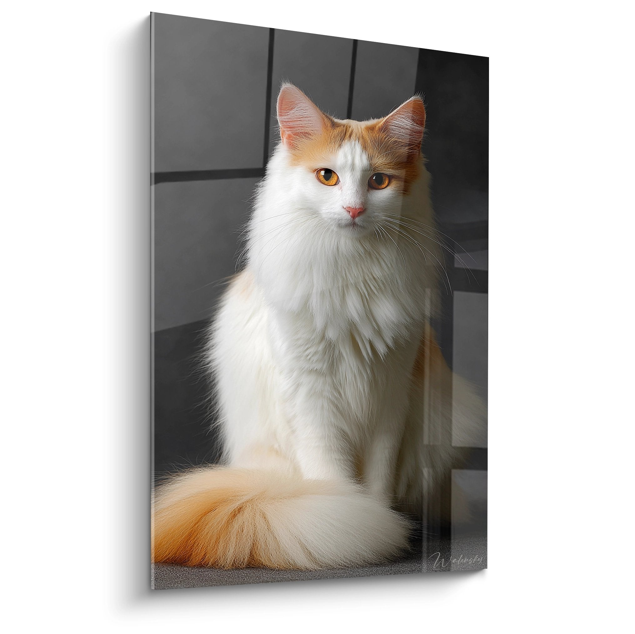 Tableau mural chat Turkish Van aux yeux dores assis majestueusement avec pelage blanc et marques rousses