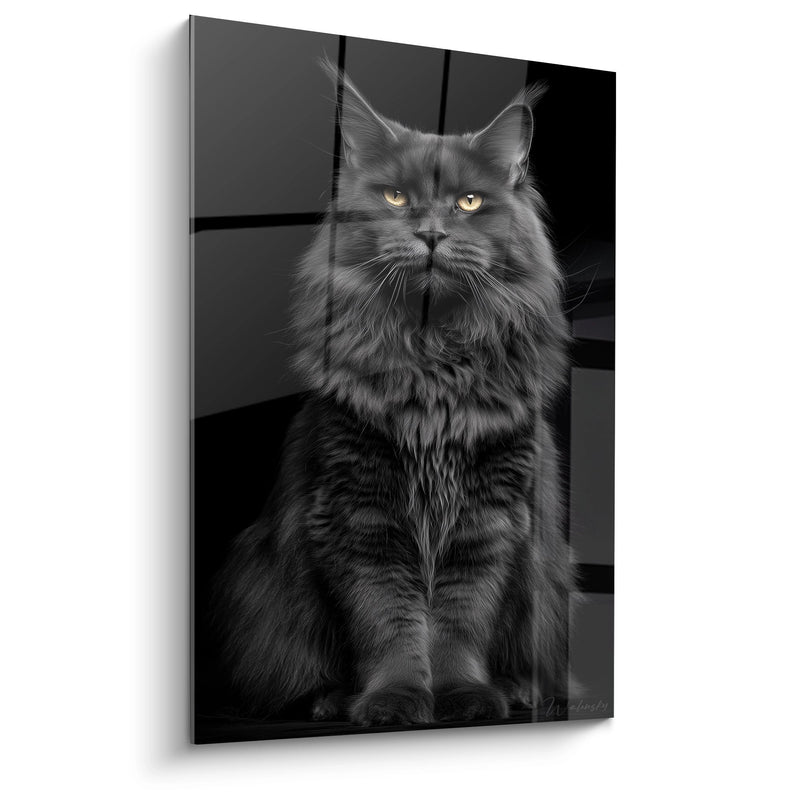 Maine Coon Tableau maestoso nero e bianco - Ritratto reale - Edizione gatto Maine Coon