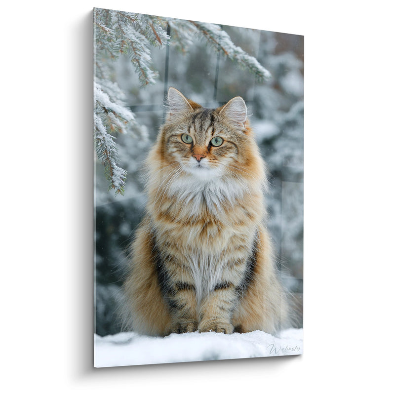 Tableau Chat Sibérien Hiver - Majesté des Neiges - Edition chat Sibérien