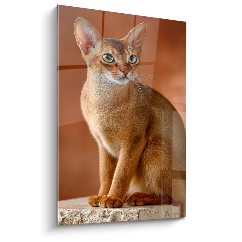 Tableau Chat Singapura Assis - Elegance Feline - Edition chat Singapura