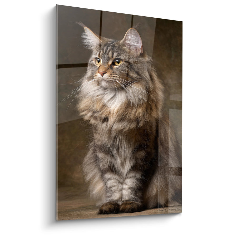 Tableau Maine Coon Majestueux - Portrait Noble - Edition chat Maine Coon