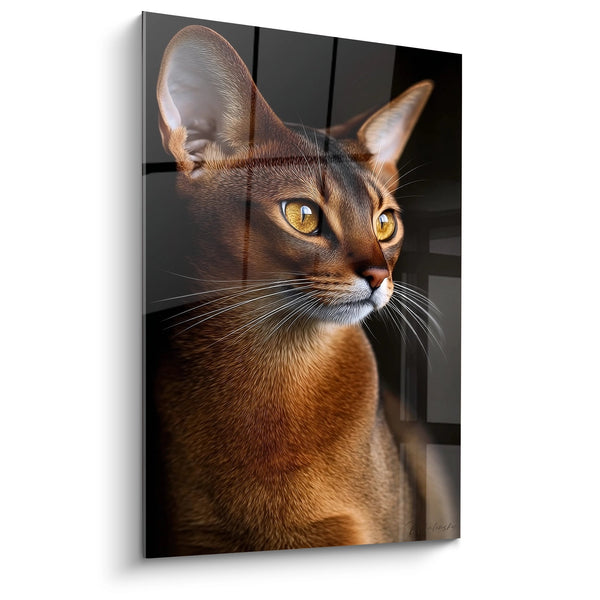 Tableau Chat Abyssin Portrait Élégant - Regard Doré Intense - Edition chat Abyssin