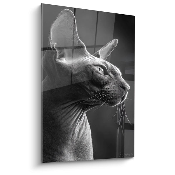 Sphynx-Katzen-Profilgemälde - Kontemplative Eleganz - Edition Sphynx-Katze