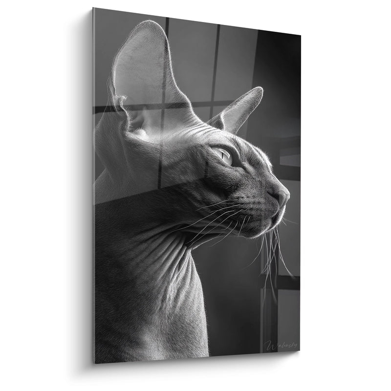 Profilo Chat Sphynx Tableau - Eleganza Contemplativa - Edizione chat Sphynx