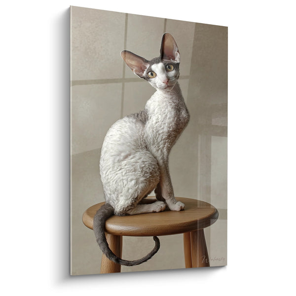 Cornish Rex Cat on Stool Painting - Elegant Portrait - Cornish Rex Cat Edition