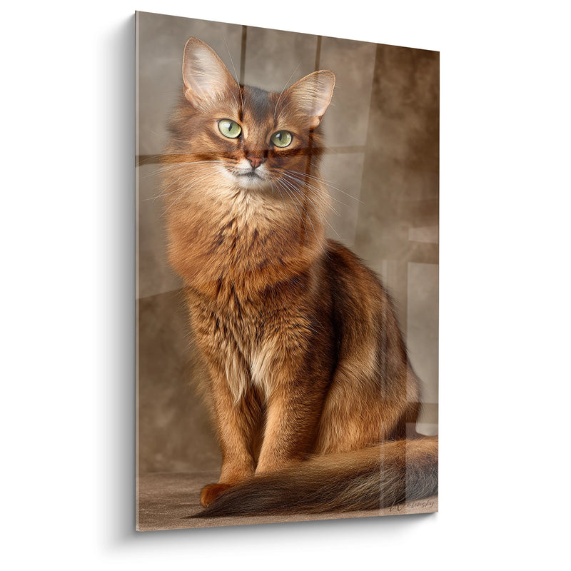 Majestätisches Somali-Katzen-Gemälde - Elegantes Porträt - Edition Somali-Katze