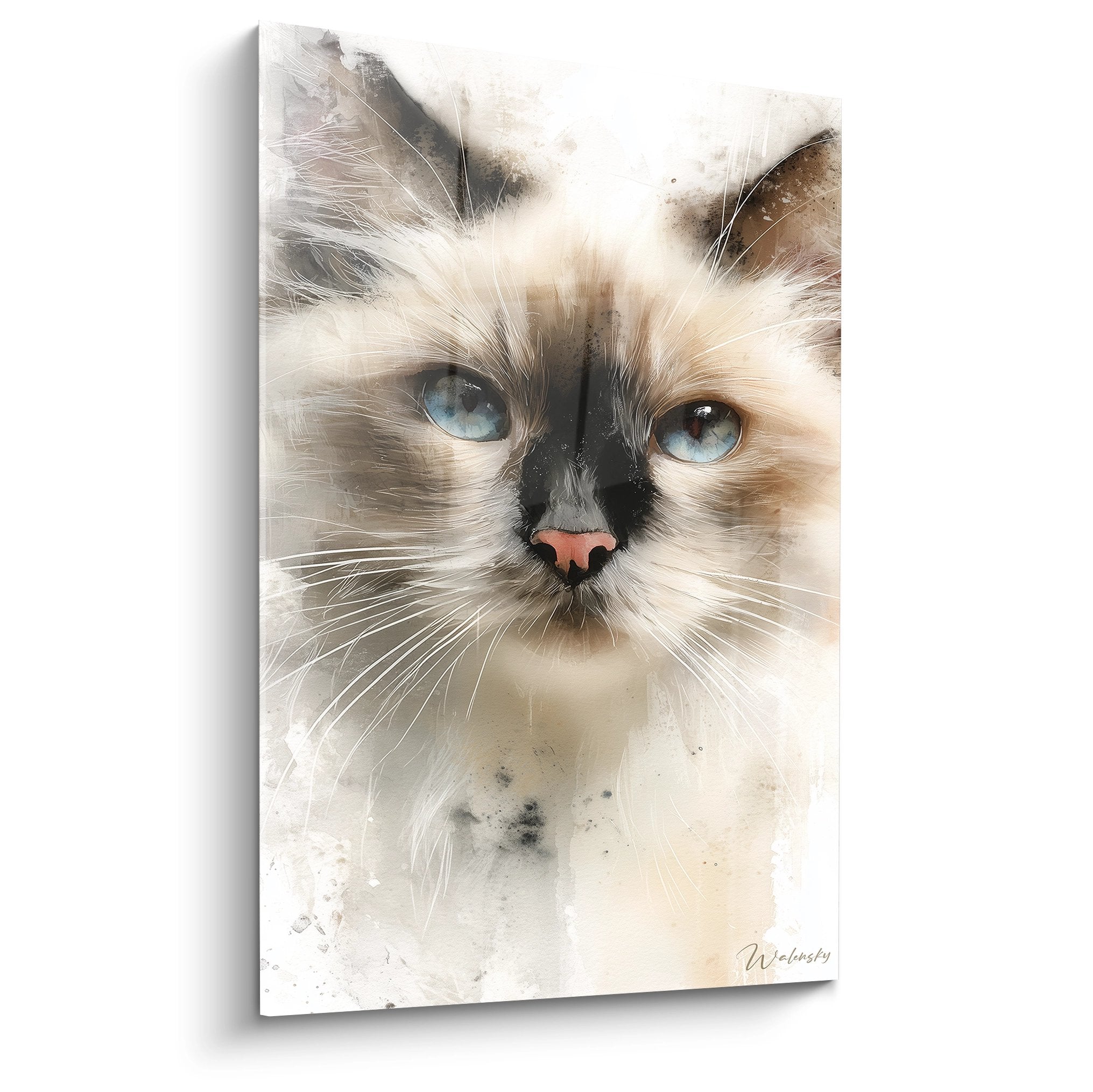 Quadro acquerello gatto birmano dagli occhi blu, stile artistico moderno per decorazione murale