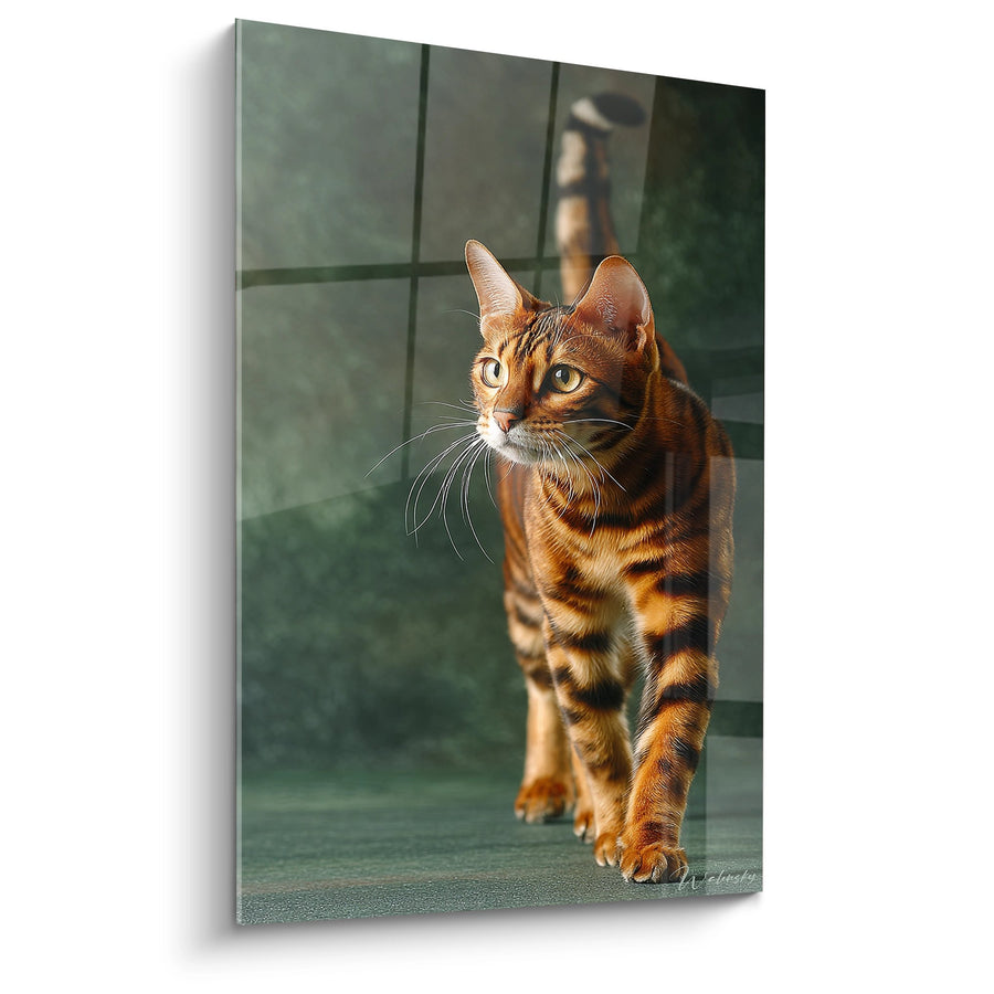 Tableau Chat Toyger en Mouvement - Grâce Féline - Edition chat Toyger