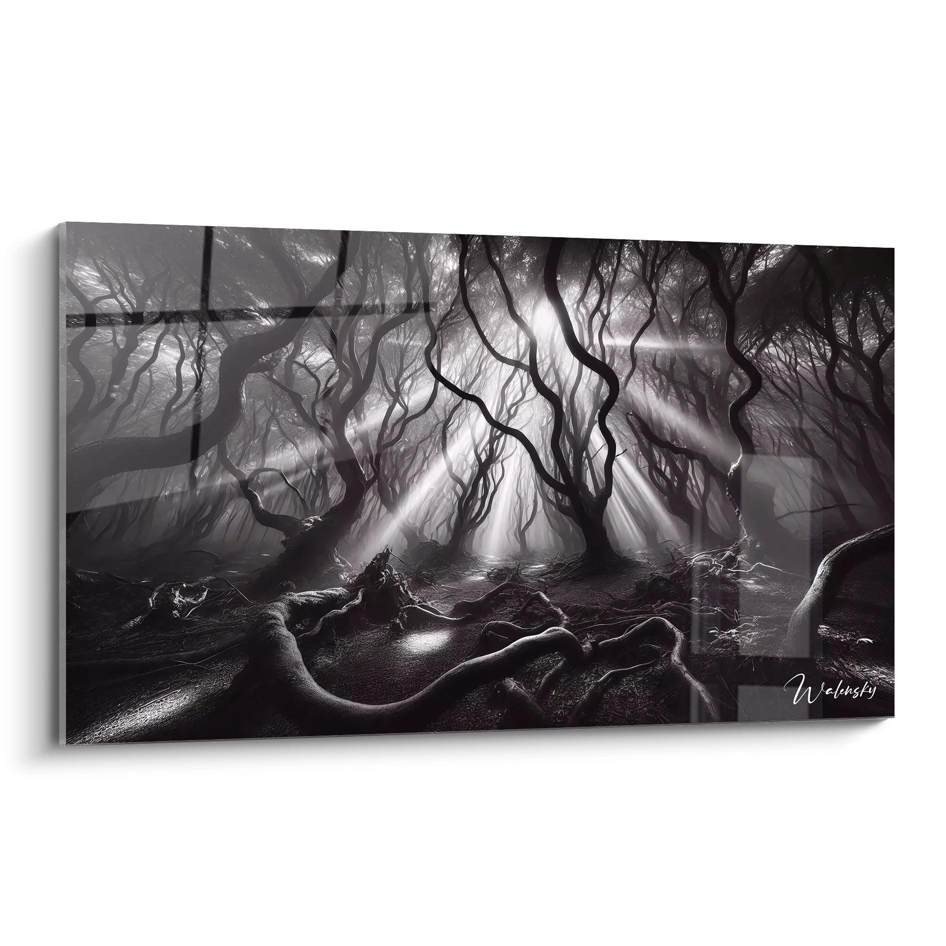 Tableau en verre acrylique noir et blanc - Grande taille - Collection moderne - Œuvre d'art murale décorative - Tableau en biais sur fond blanc - Art contemporain élégant - Idée de décoration intérieure.